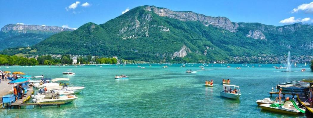 Appartement Atypique Au Coeur Des Alpes Barraux Εξωτερικό φωτογραφία